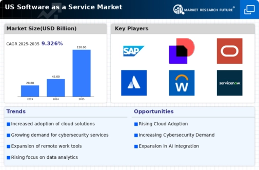 US Software as a Service Market Infographic