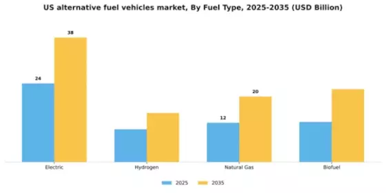 US Alternative Fuel Vehicles Market Segment Image 1