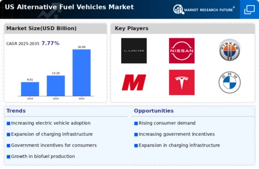 US Alternative Fuel Vehicles Market Infographic