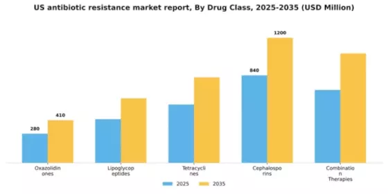 US Antibiotic Resistance Market Segment Image 1