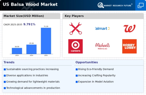 US Balsa Wood Market Infographic