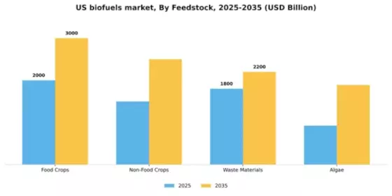 US Bio Fuels Market Segment Image 2