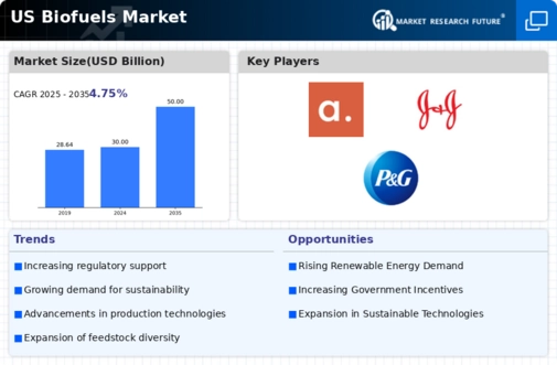 US Bio Fuels Market Infographic