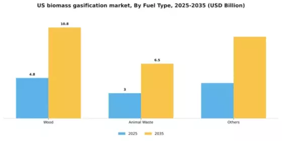 US Biomass Gasification Market Segment Image 1