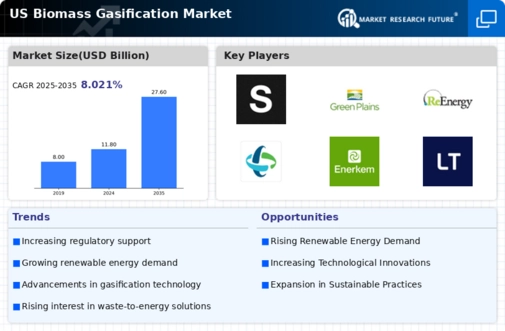 US Biomass Gasification Market Infographic