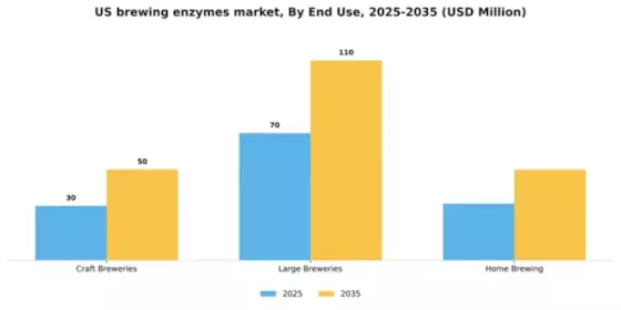 US Brewing Enzymes Market Segment Image 1