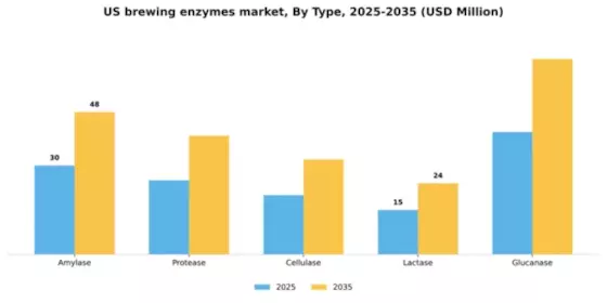 US Brewing Enzymes Market Segment Image 3