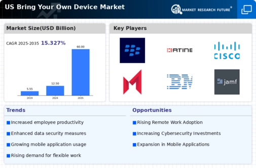 US Bring Your Own Device Market Infographic