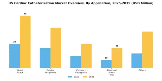 US Cardiac Catheterization Market Segment Image 0