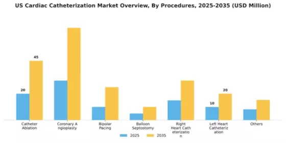 US Cardiac Catheterization Market Segment Image 2
