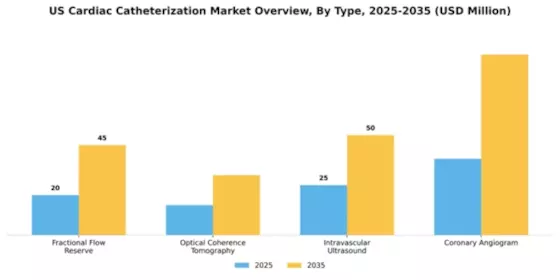 US Cardiac Catheterization Market Segment Image 3
