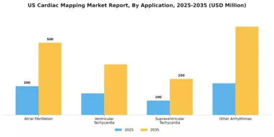 US Cardiac Mapping Market Segment Image 0