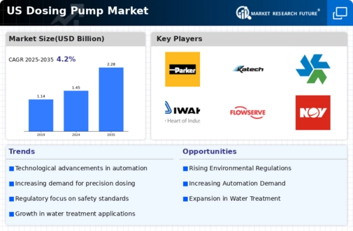 US Dosing Pump Market Infographic