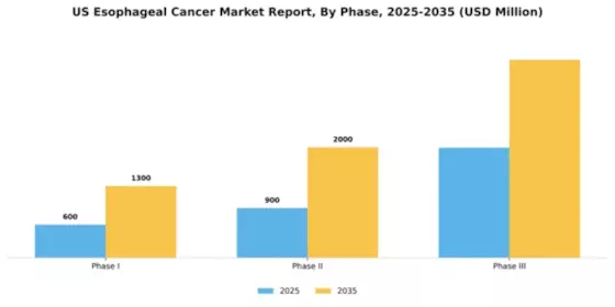 US Esophageal Cancer Market Segment Image 0