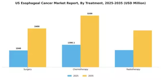 US Esophageal Cancer Market Segment Image 1
