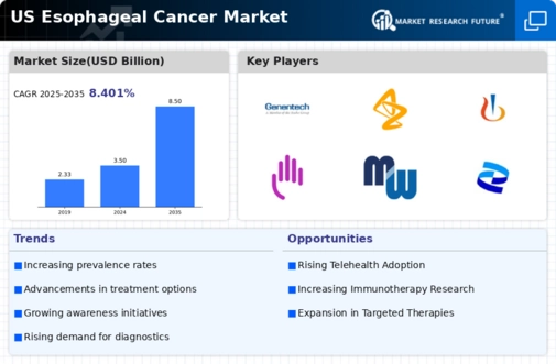 US Esophageal Cancer Market Infographic