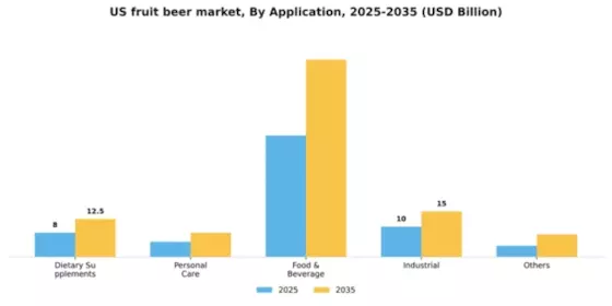 US Fruit Beer Market Segment Image 0