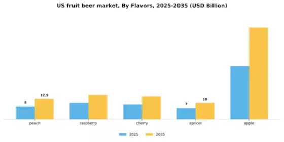 US Fruit Beer Market Segment Image 2