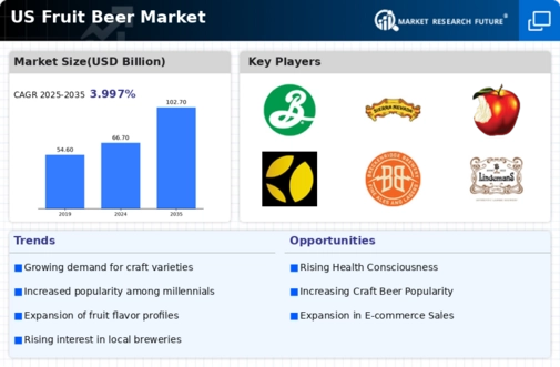 US Fruit Beer Market Infographic
