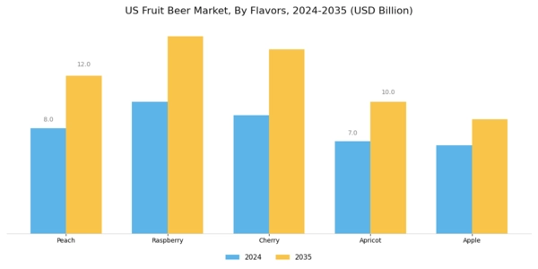 US Fruit Beer Market Segment Image 0