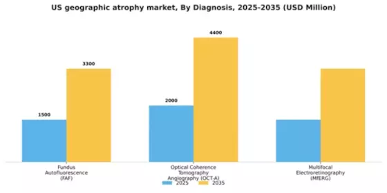 US Geographic Atrophy GA Market Segment Image 1