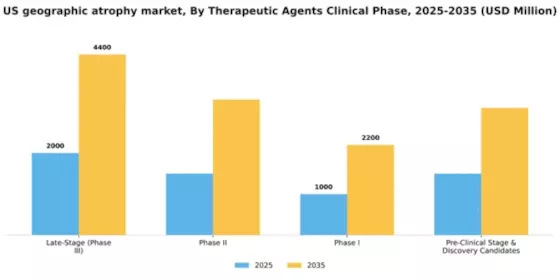 US Geographic Atrophy GA Market Segment Image 2