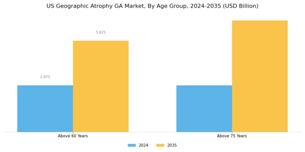 US Geographic Atrophy GA Market Segment Image 0