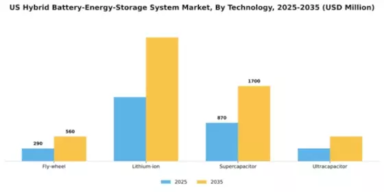 US Hybrid Battery Energy Storage System Market Segment Image 1