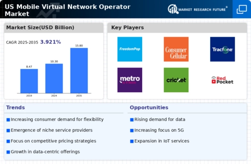 US Mobile Virtual Network Operator Market Infographic