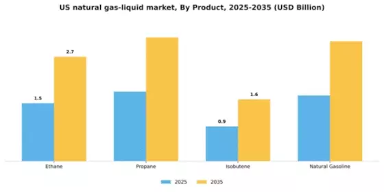 US Natural Gas Liquid Market Segment Image 1