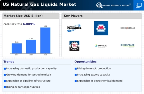 US Natural Gas Liquid Market Infographic