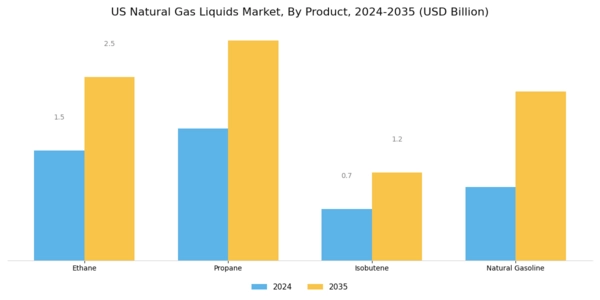 US Natural Gas Liquid Market Segment Image 0