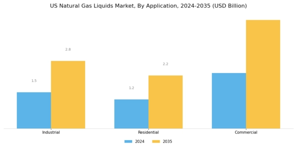 US Natural Gas Liquid Market Segment Image 1