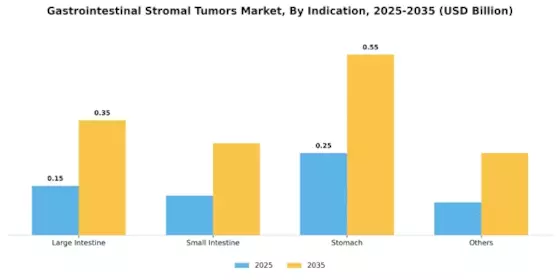 Gastrointestinal Stromal Tumors Market Segment Image 2