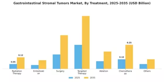 Gastrointestinal Stromal Tumors Market Segment Image 3