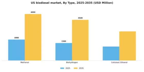 US Biodiesel Market Segment Image 1