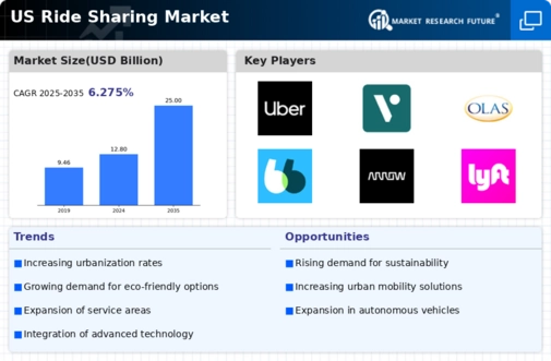 US Ride Sharing Market Infographic