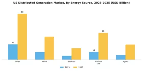 US Distributed Generation Market Segment Image 2