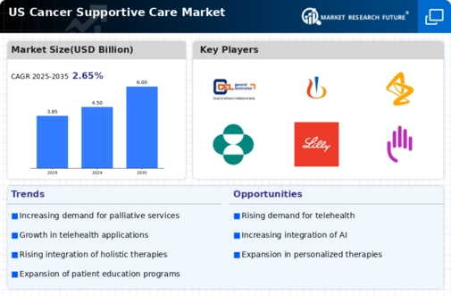 US Cancer Supportive Care Market Infographic