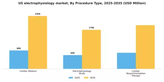 US Electrophysiology Market Segment Image 2