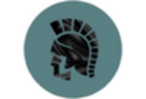 US Condom Market key player