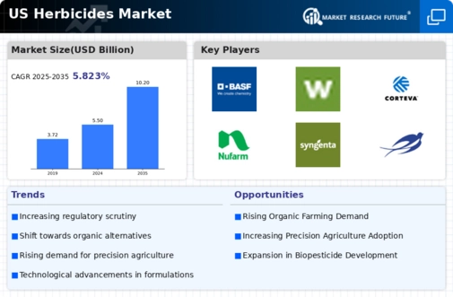 US Herbicides Market Infographic