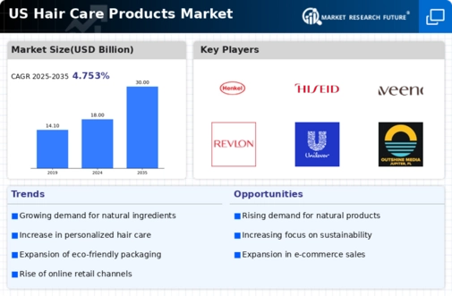 US Hair Care Products Market Infographic