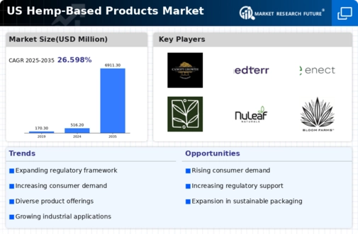 US Hemp-Based Products Market Infographic