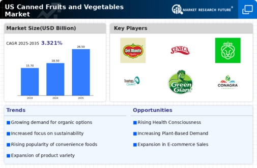 US Canned Fruits Vegetables Market Infographic