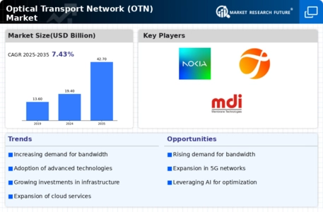 Optical Transport Network Market Infographic