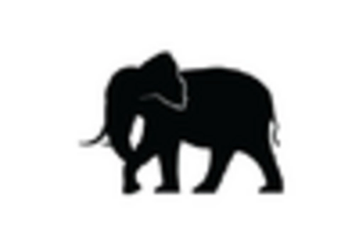 US Vegan Chocolate Market key player