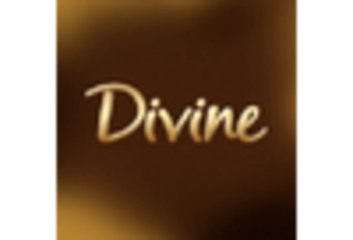 US Vegan Chocolate Market key player