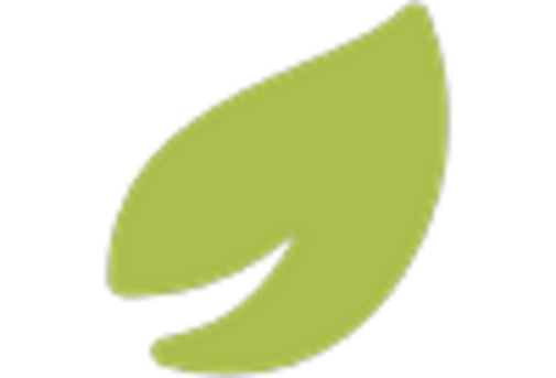 US Vegan Chocolate Market key player