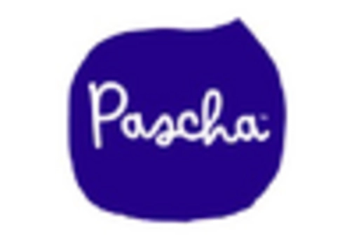 US Vegan Chocolate Market key player